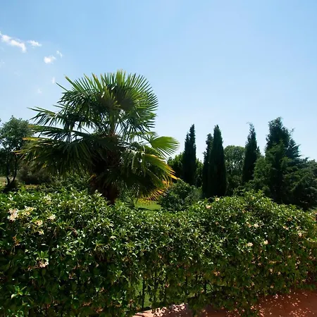 Villa Micheline Kosinozici